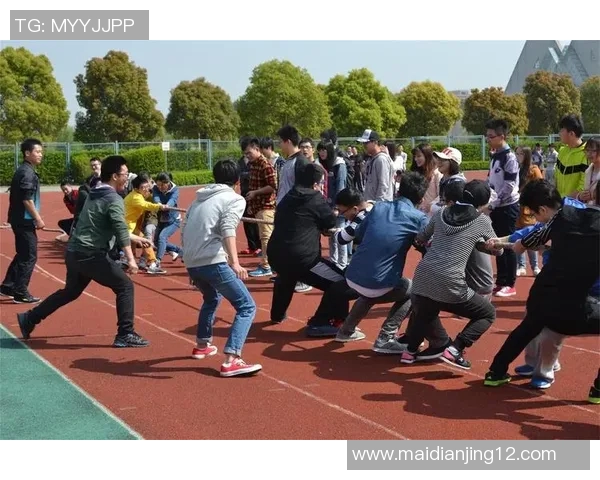 全明星赛中V5团队协作表现分析与评价探讨