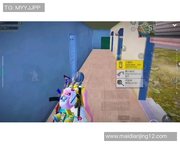 深度解析BLG在和平精英总决赛中的区域防守策略与战术布局