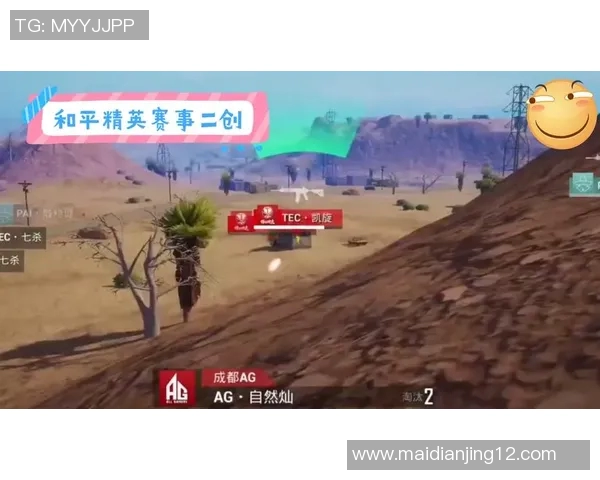 esports数据热议和平精英FPX团队协作变革背后的策略与启示