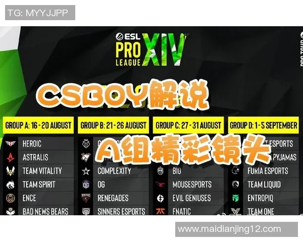 esports数据张丽谈CSGO职业生涯与成长历程的深度回顾与反思